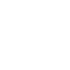 Geheugenmodule (Ref.) SODIMM - DDR2 -  512MB - 533